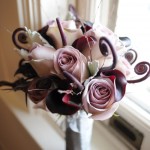 halsted-darren_030b