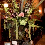 halsted-darren_247