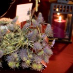 halsted-darren_248