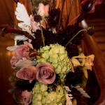 halsted-darren_284