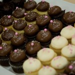 halsted-darren_370