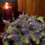 halsted-darren_618